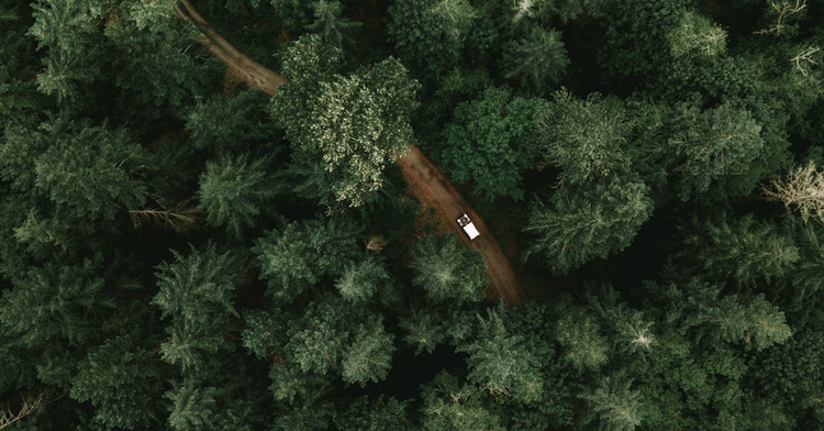 Staying Connected When Everything Else Disconnects : Navigation and Communication in the Outback
